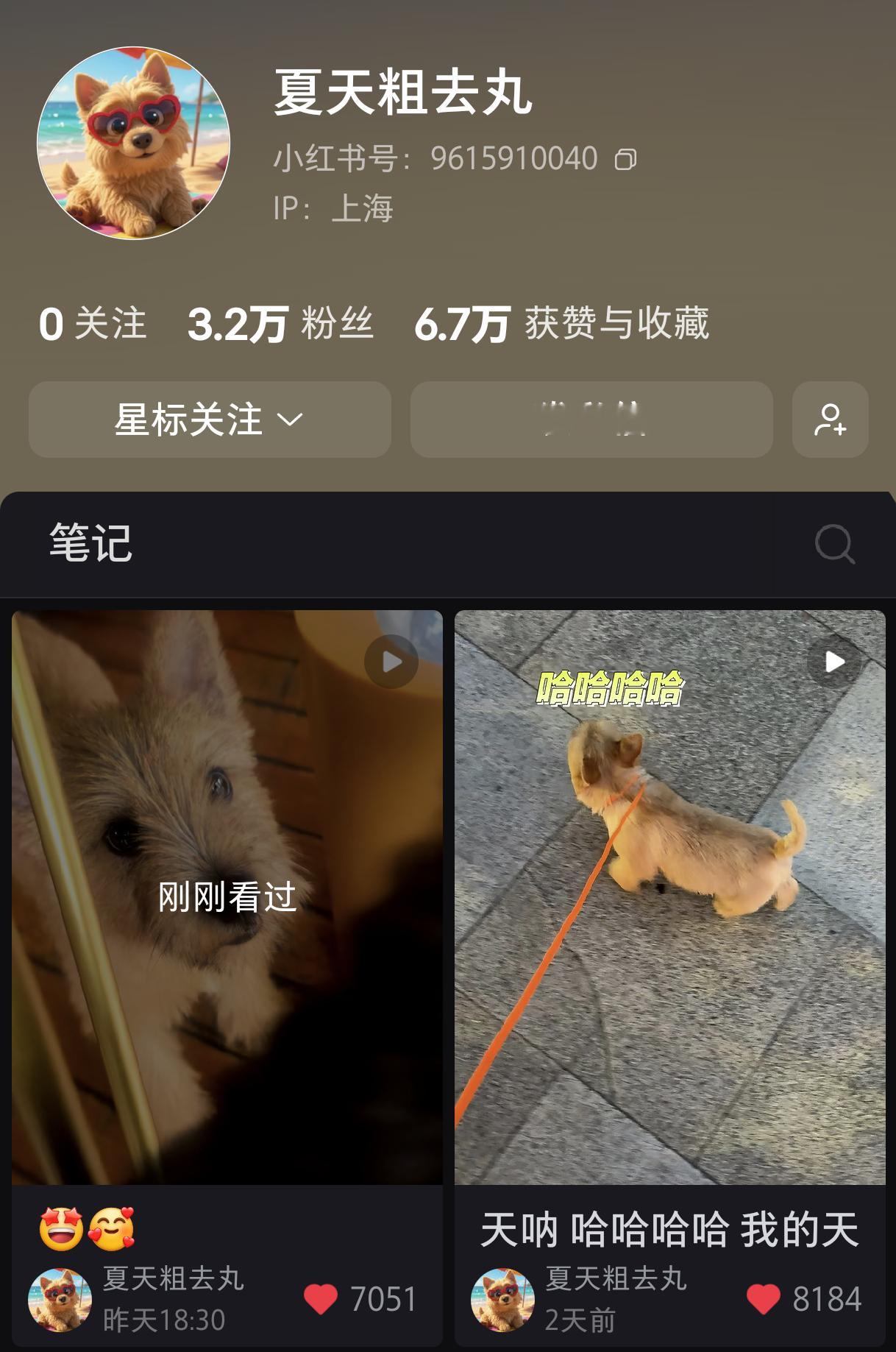 昨天的路人偶遇系列，一晚上加一白天，夏天涨粉接近1万，📕粉丝直接3.2万了！闺