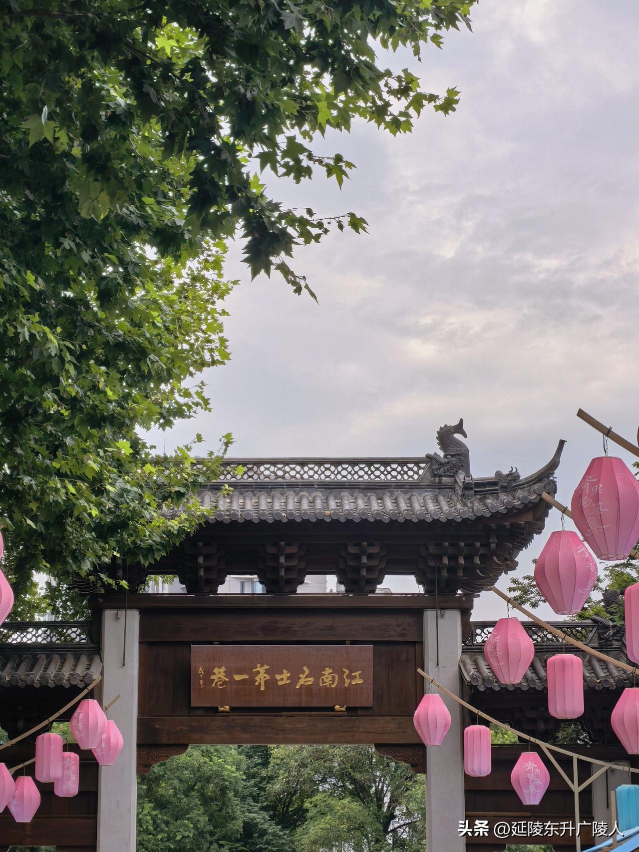 夏日青果巷，木槿凌霄花。
青果巷边的市河，就是最早的春秋运河，东起苏州望亭，西到