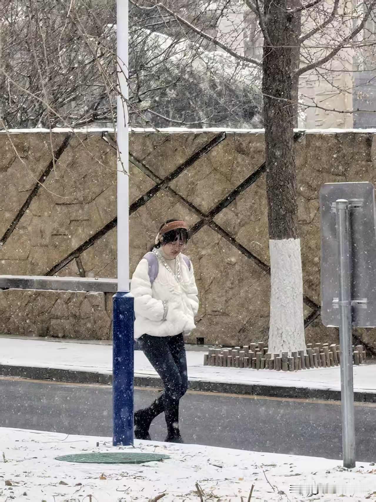 北京，冬季里的首场雪，来的如此迅猛，从飘起雪花到满地绵白，只用了二十分钟。

每