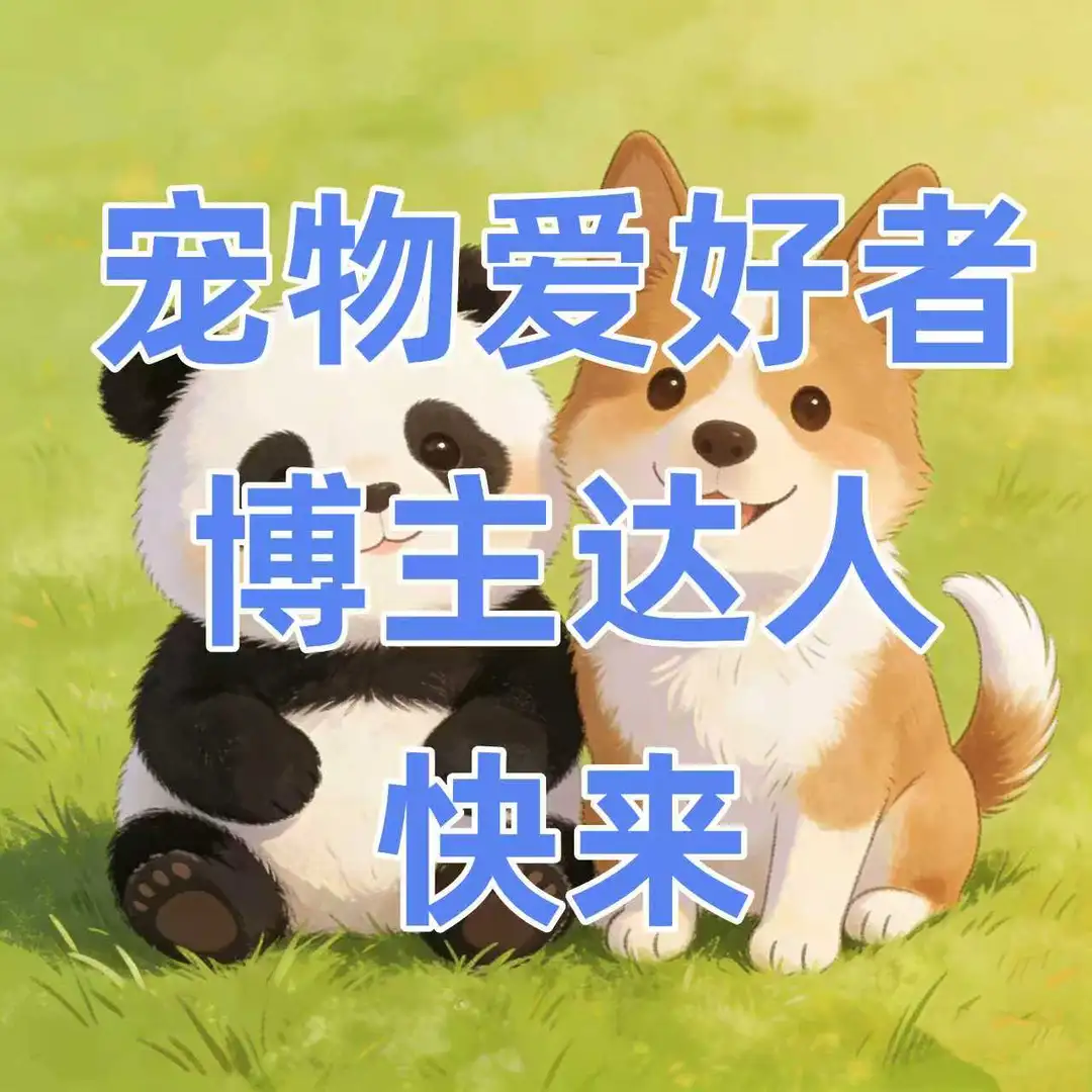 各位宠物的毛孩子爸爸妈妈，快来！发现宝藏