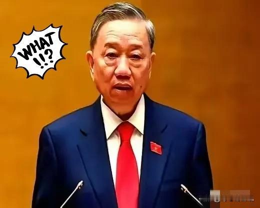 越南这次真是把“反复无常”演绎到了极致！日本驻越大使直接摊牌，百亿美元的宁顺2号