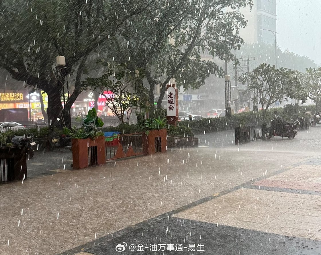 我真的是准备去附近公园跑几圈，到半路突然下雨飘泊大雨，只能等会看看了 