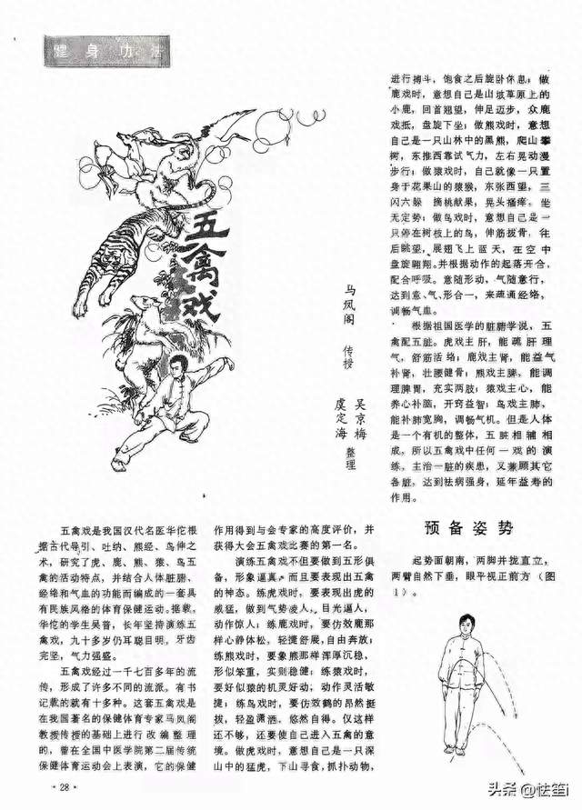 练五禽戏vs健身撸铁，6个月后身体差距有多大？结果让教练都沉默