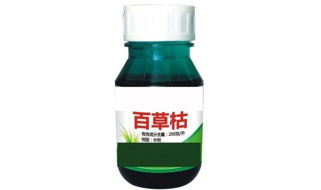 有些人说什么小米是行业百草枯，说什么进一个行业就会有一个行业的品牌被黑，好好好我