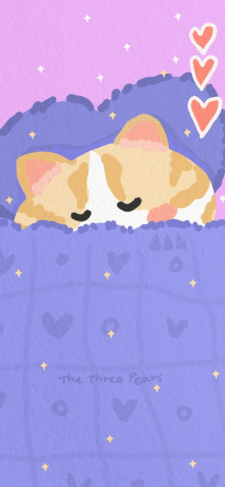 小猫咪钻进被窝里乖乖睡觉啦₍^-ωก^₎💤 