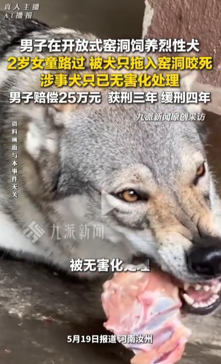 “令人发指！”九派新闻5月19日报道，河南汝州发生了一起让人愤怒不已的悲剧，48