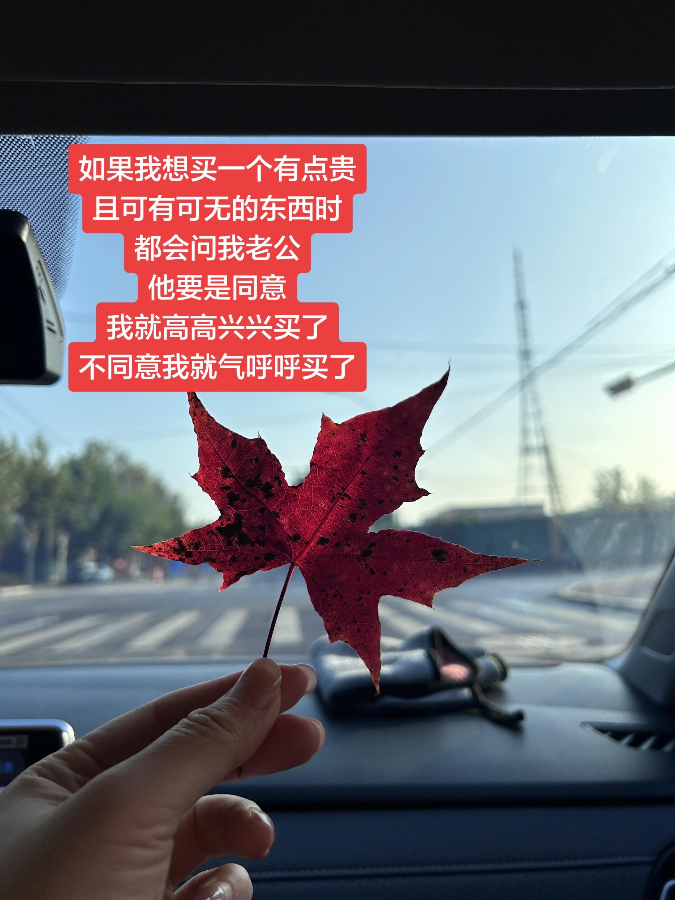 主打一个可以问但不听