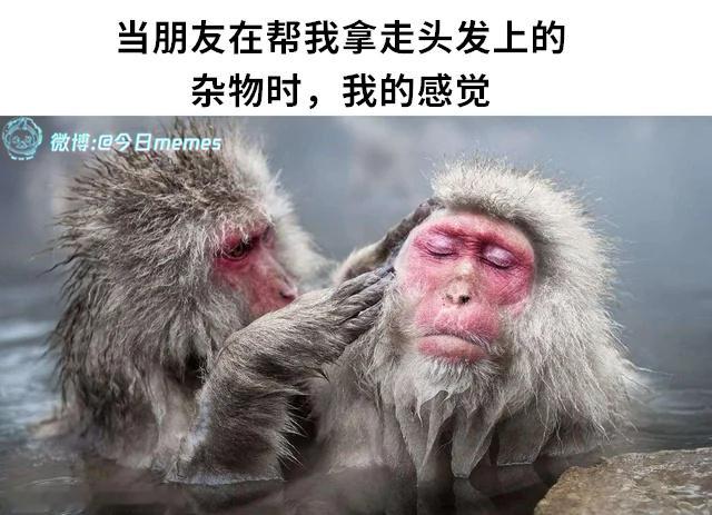 别动（9gag）今日meme 今日memes