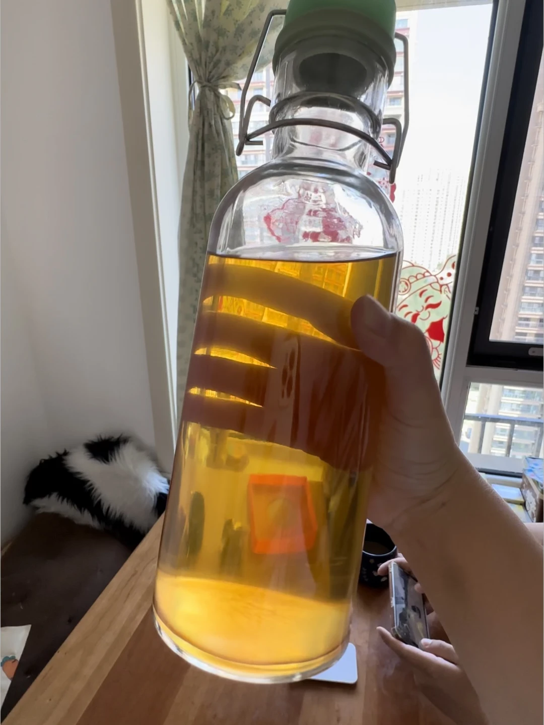 2年青梅酒清透好喝，继续5斤青梅酒已泡上！