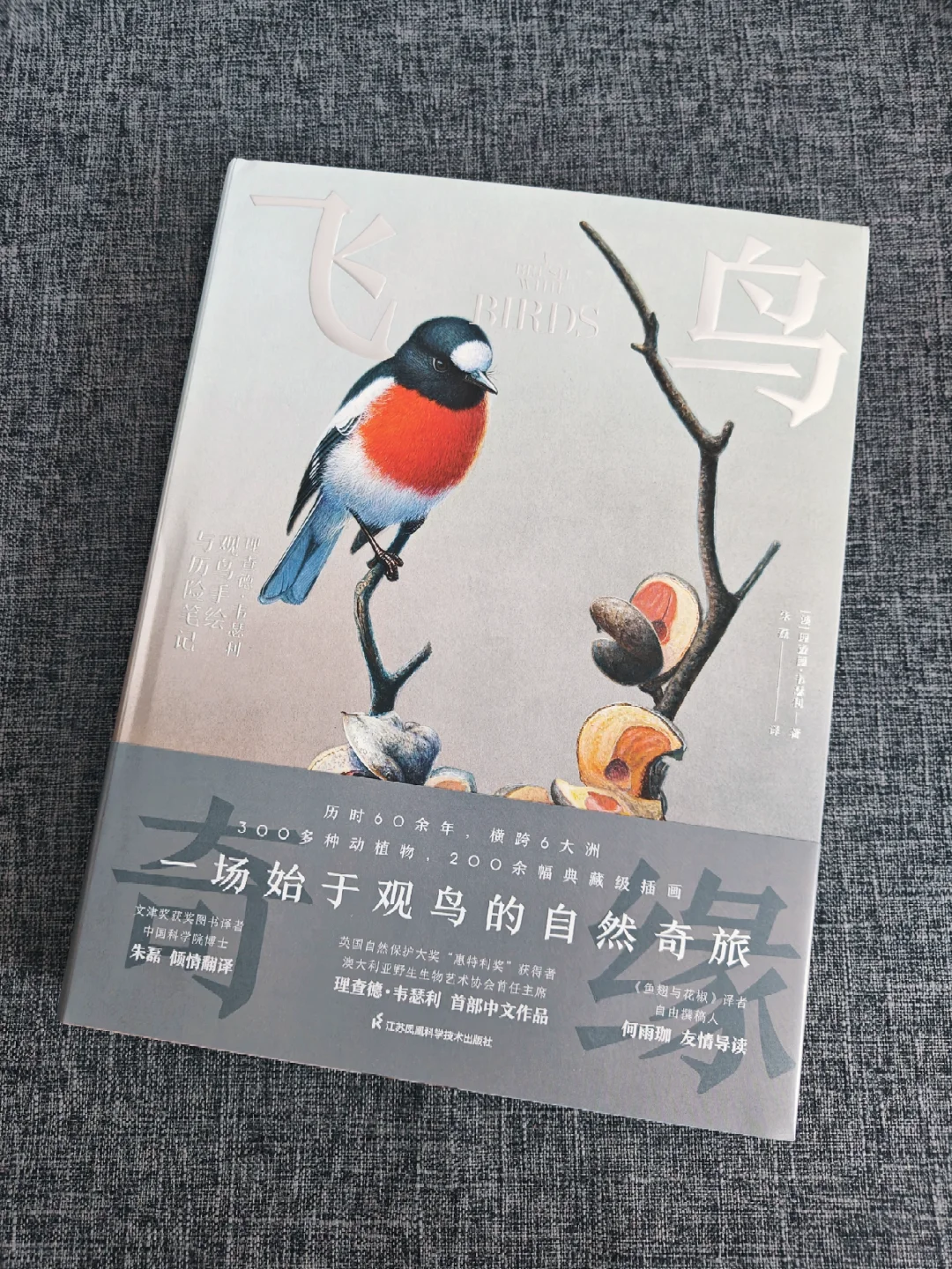 简直就像艺术品，鸟类爱好者狂喜的一本书