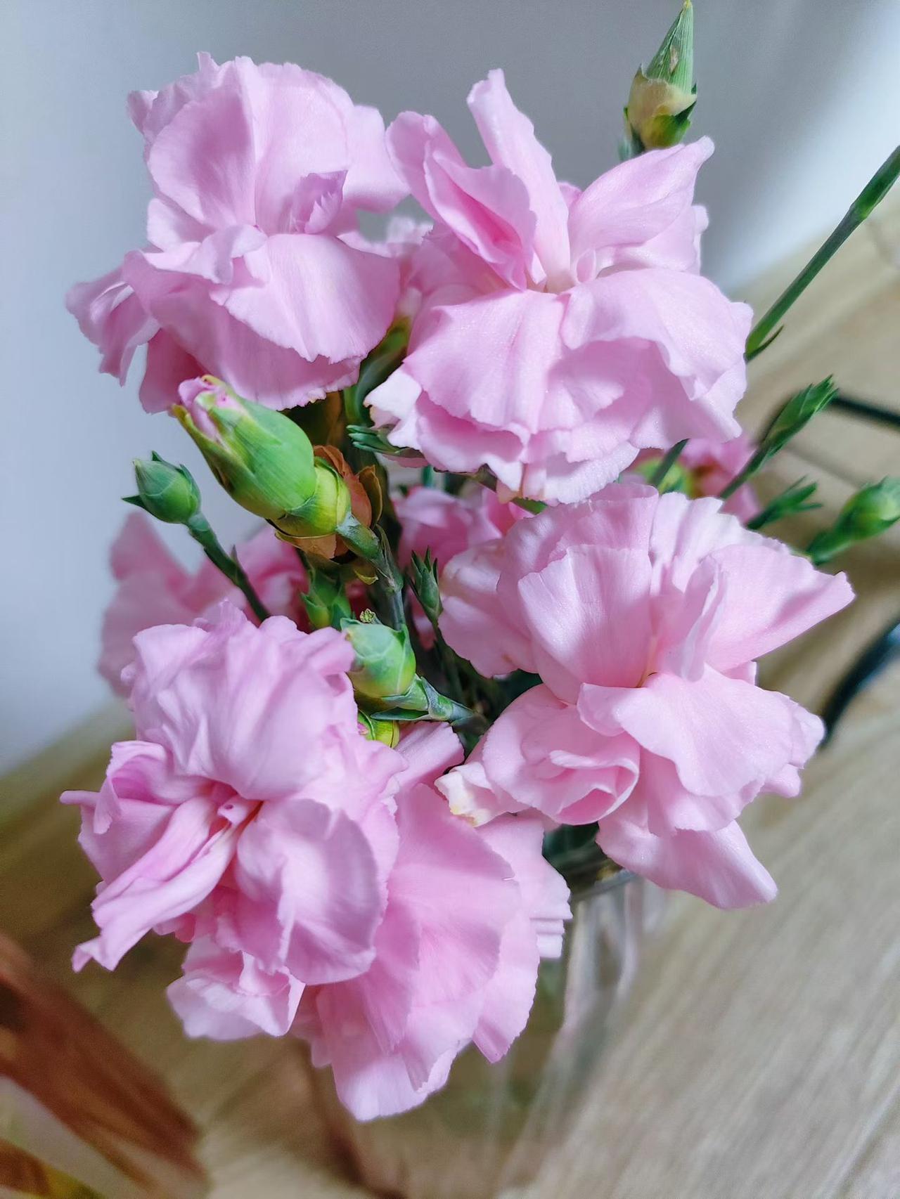 你别不相信
小成靠勤
中成靠智
大成在德
终成于道
勤奋可保温饱
勤奋是人最朴实