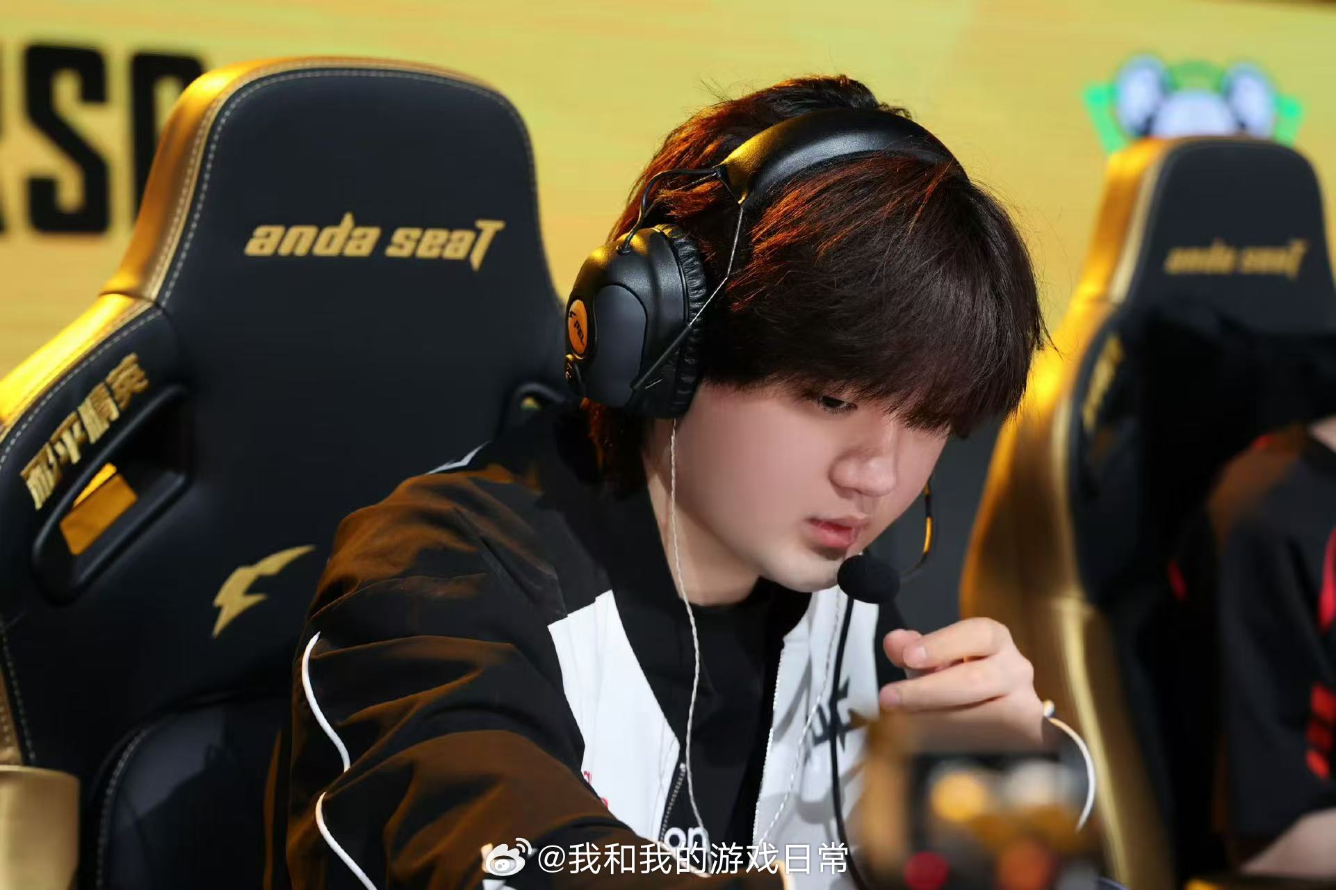 PEL第三周最佳阵容荣耀就位！导师、青稚、猫猫、仙崽携手登顶第三周最佳阵容，持续
