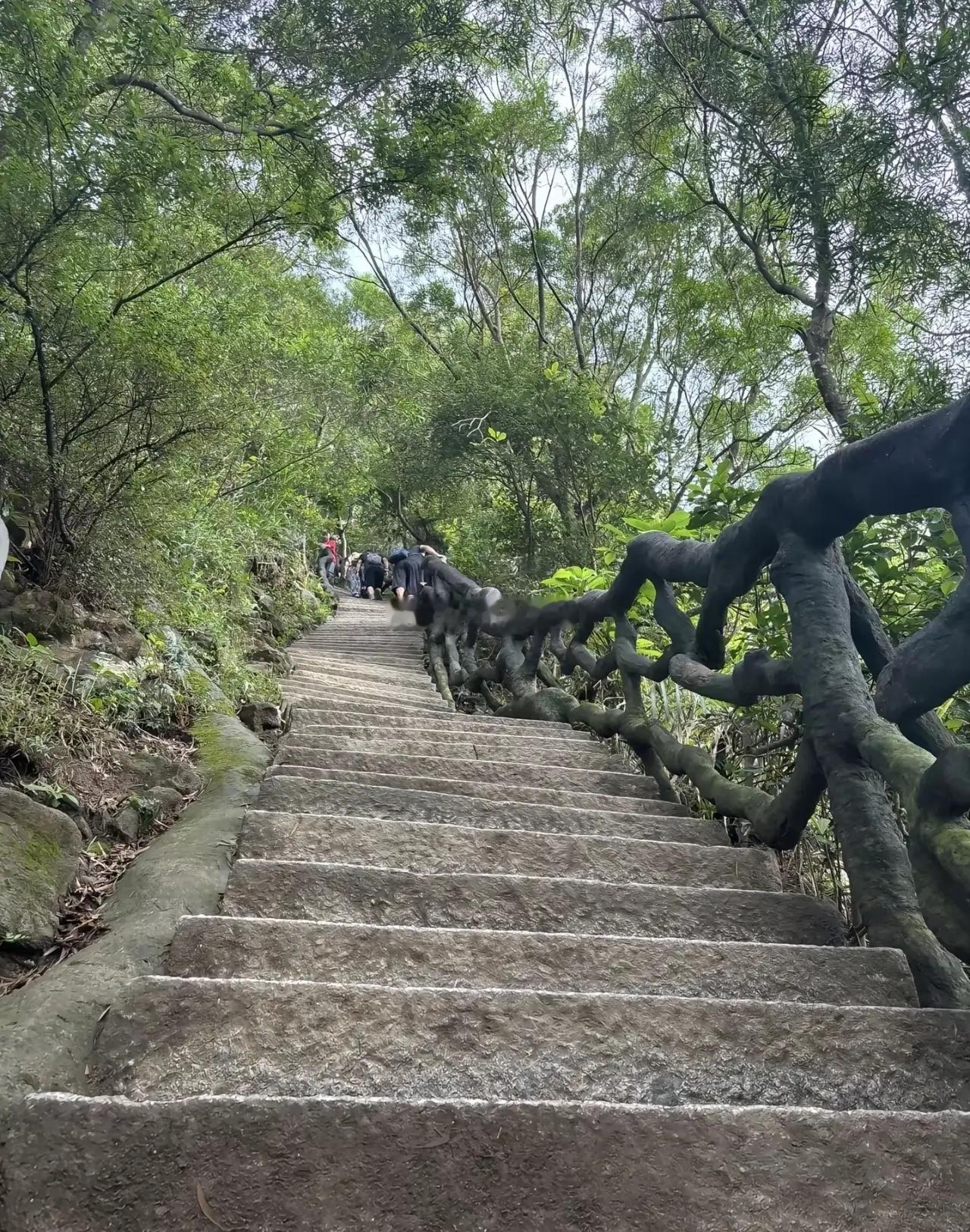 同事昨天去爬泰山，跟风找了一个男性陪爬，500块钱，一对一服务，原以为会像网上其