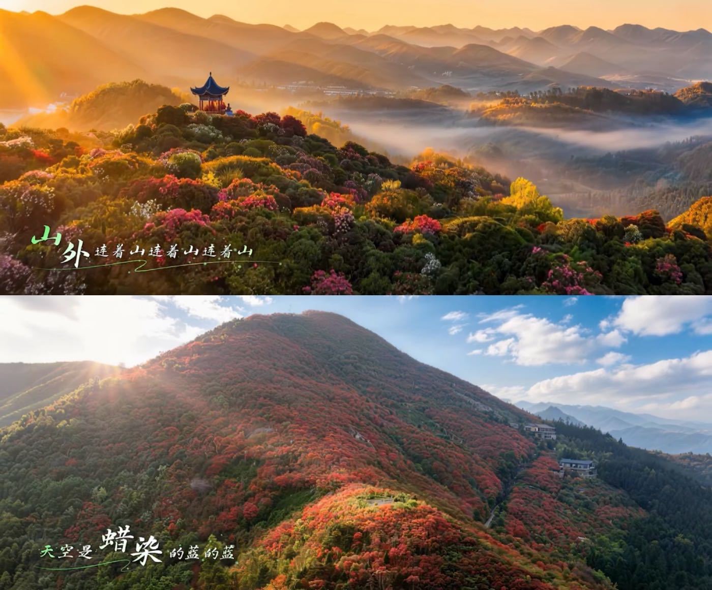 周深新歌每个人MV看完周深新歌MV已经站在山上了 周深这哪是发新歌，这是给贵州发