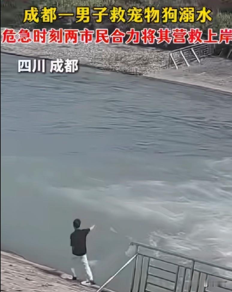 男子为了去救落水的宠物狗，差点儿把命给搭上了。

6月3日下午，成都一位男子在高
