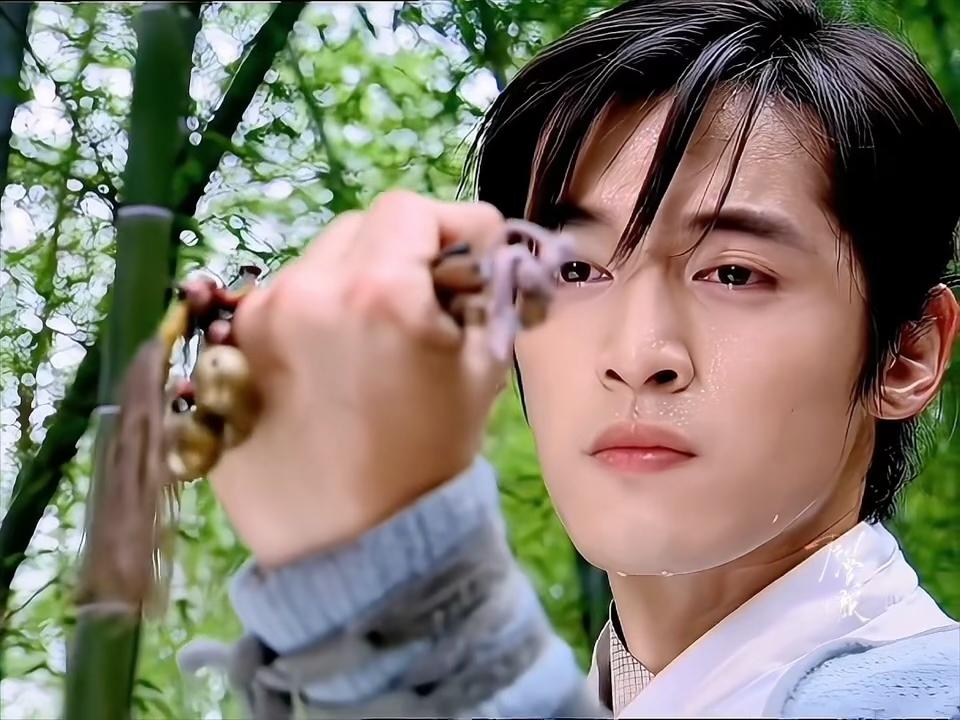 少年侠客 胡歌  这不就是我的逍遥哥哥！再也没有这样的男主角了