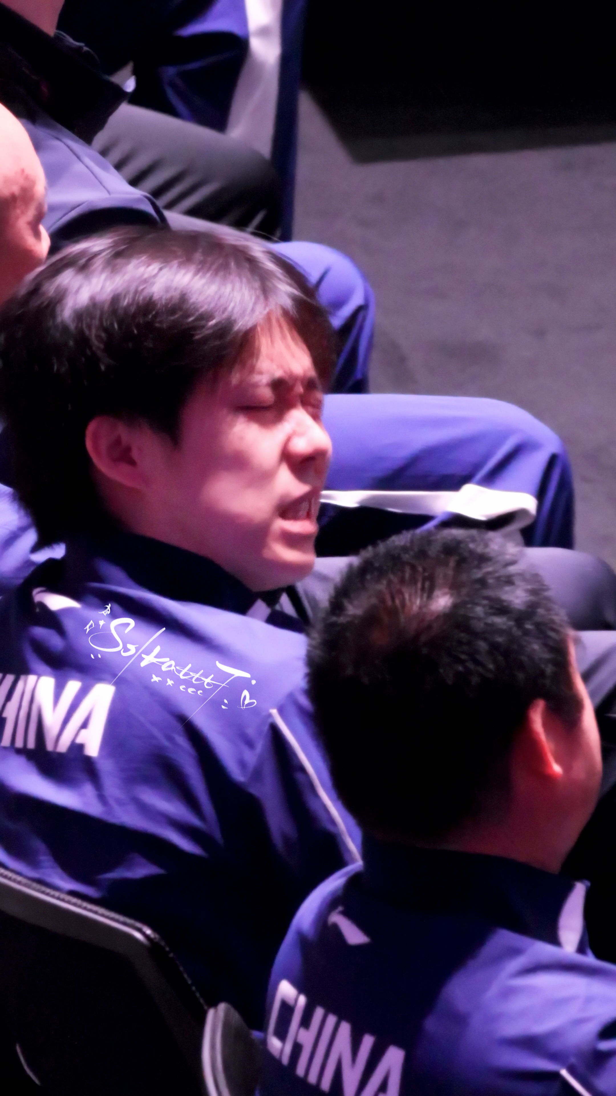 龇牙咧嘴的狗儿 