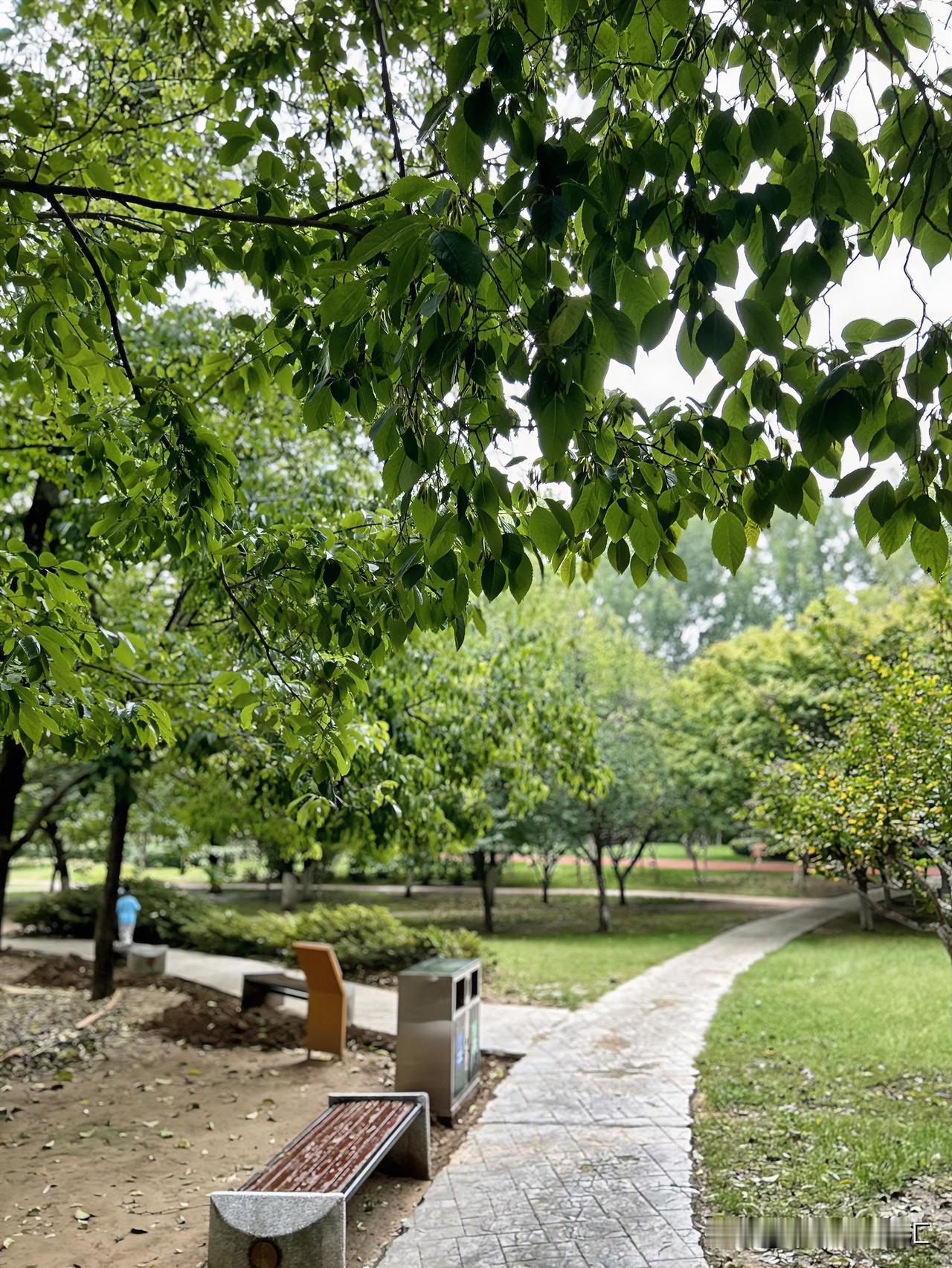 已黔驴技穷了，咋办，小作文写起来，将自己的一技之长发挥出来，工作服穿起来，小故事