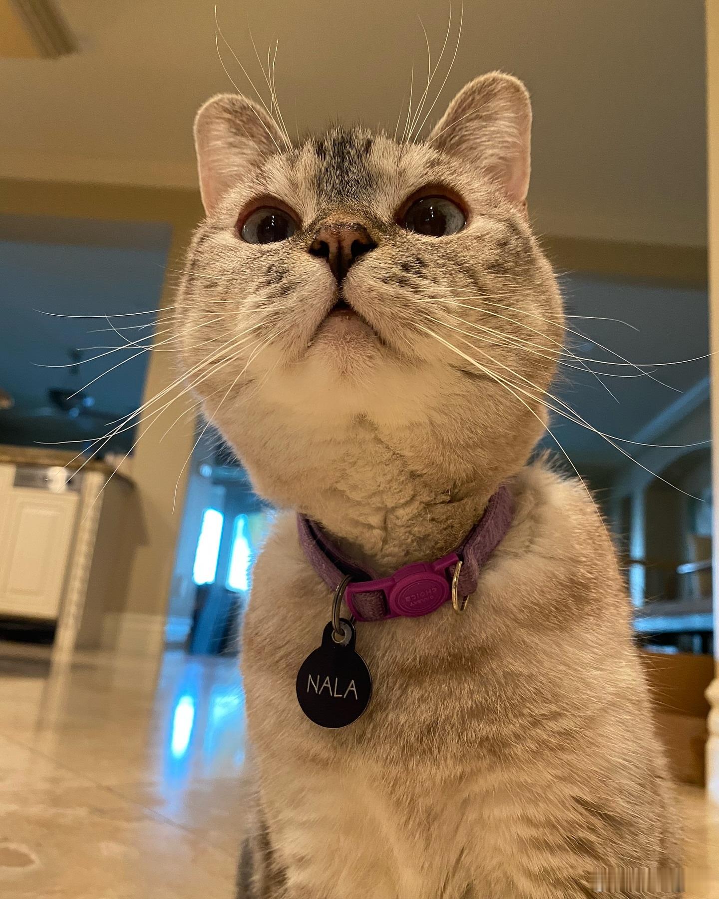 hi～hi👋 ​​​