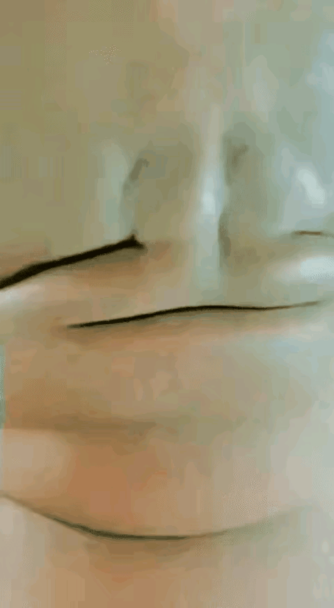 哎呀妈呀，一开始真没看出是什么东西。#好多只小🐕# #3只😈# #一不小心张