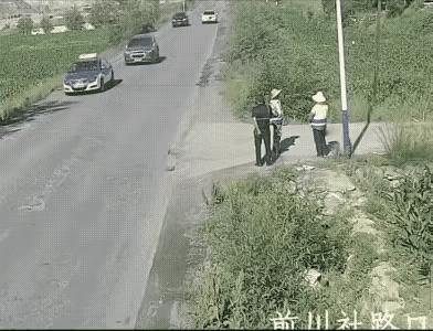 白车正常行驶超车，哪里逆行了，公路上不让超车吗？出租车不打转向灯，出租车全责。