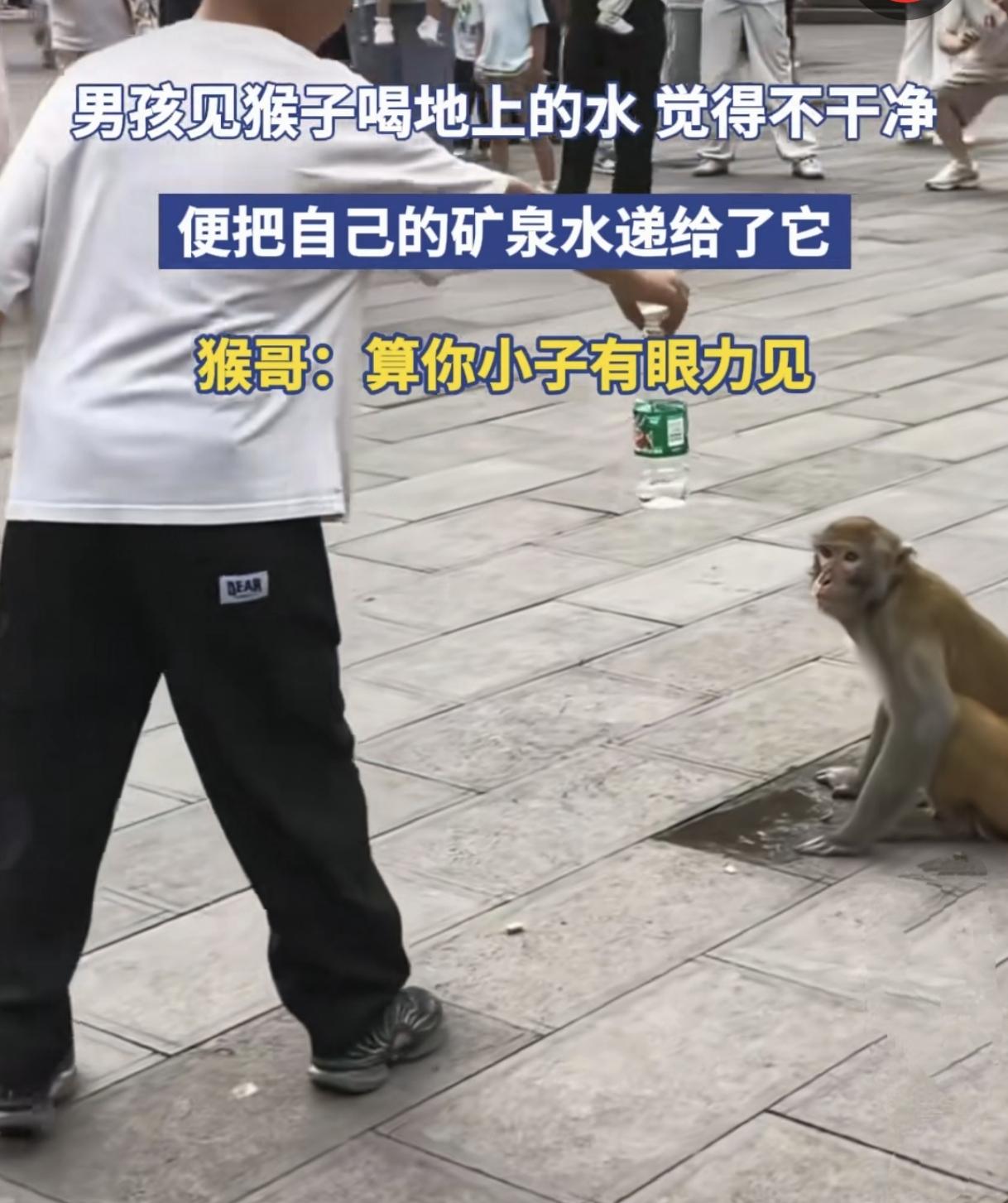 贵州男孩的善意暖遍全网！

纯粹的童真，永远拥有治愈世俗的力量。

贵州户外一段