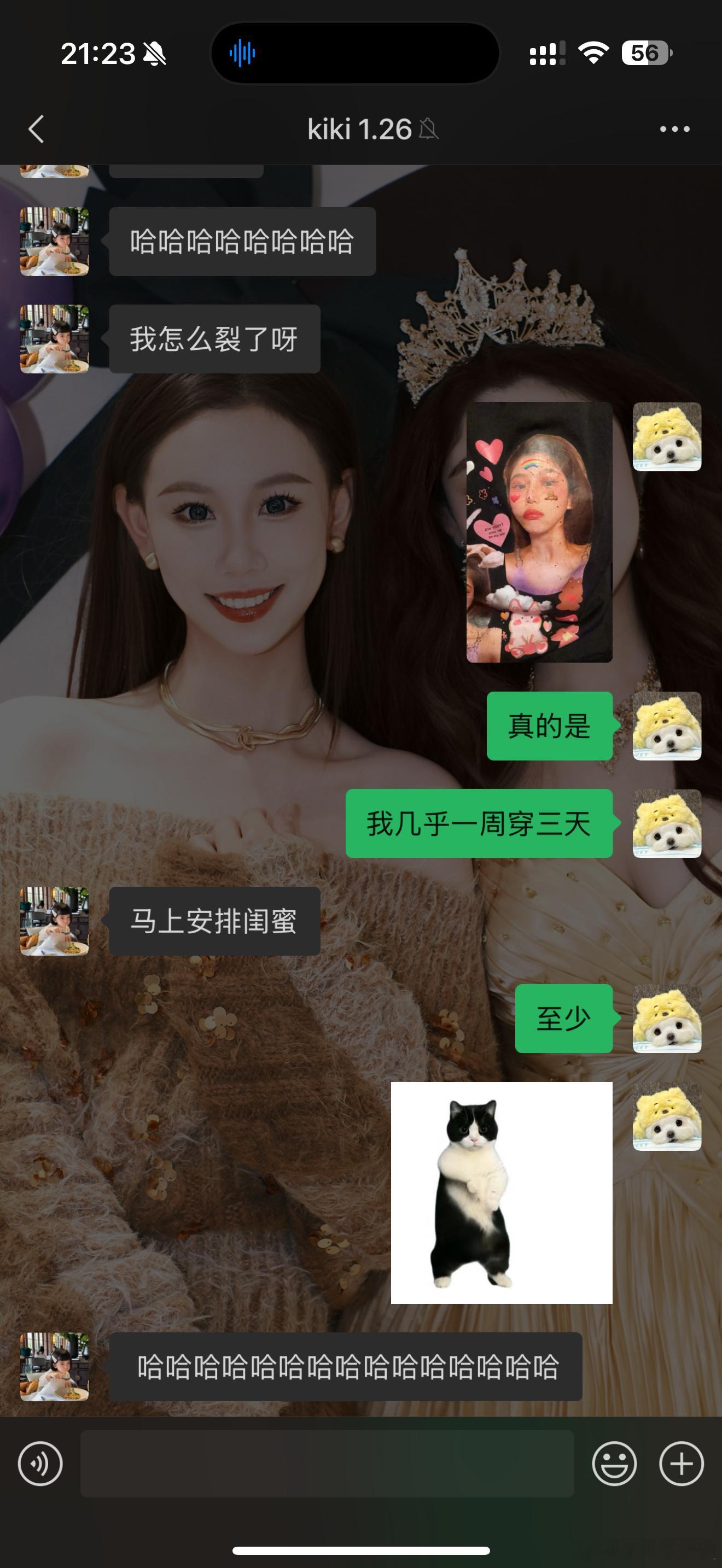 招笑[doge] ​​​