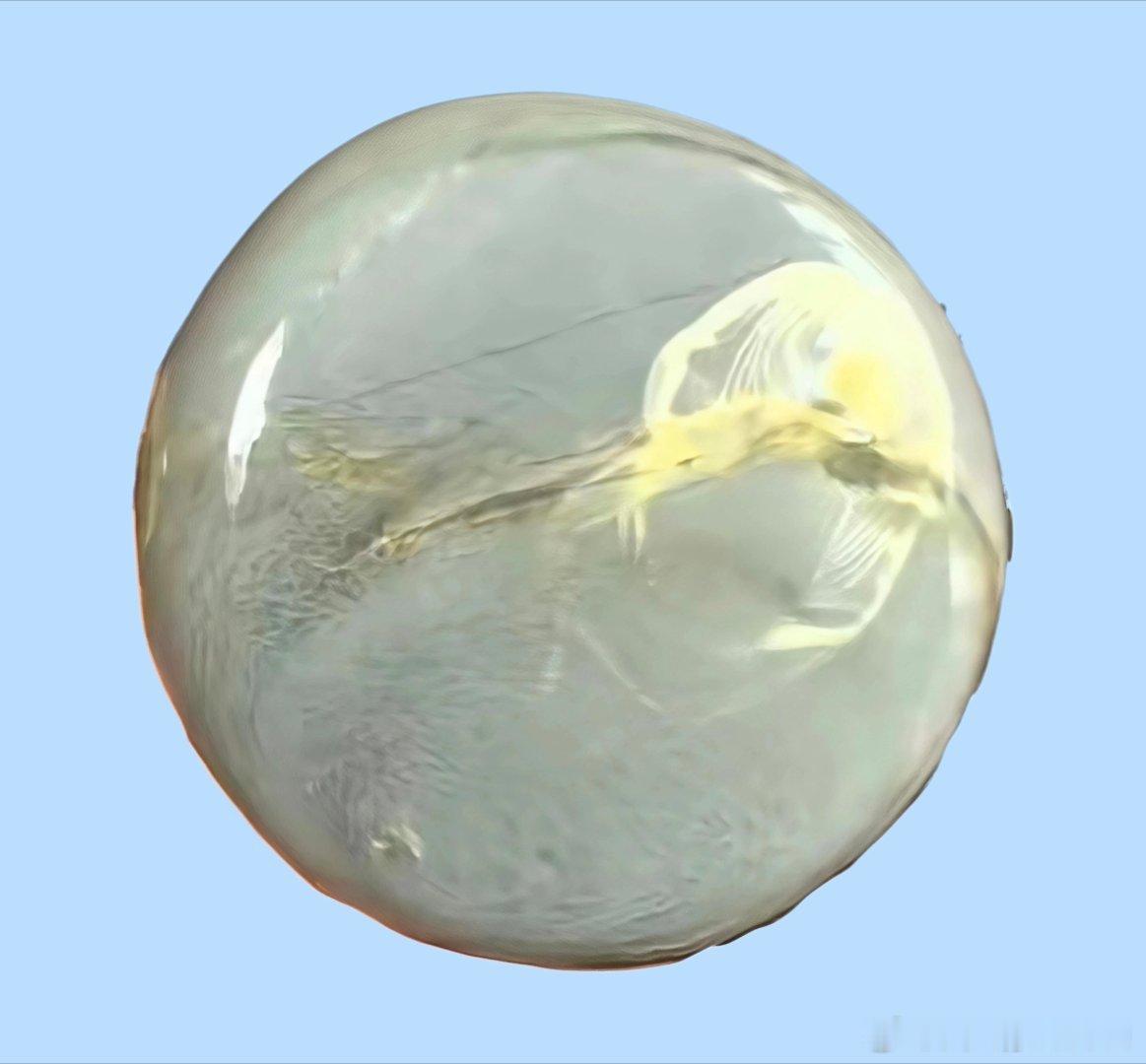【精品展示】（二）砚台系列（3）：歙砚❷～～汪志东作品④。与师友们分享，一手货源