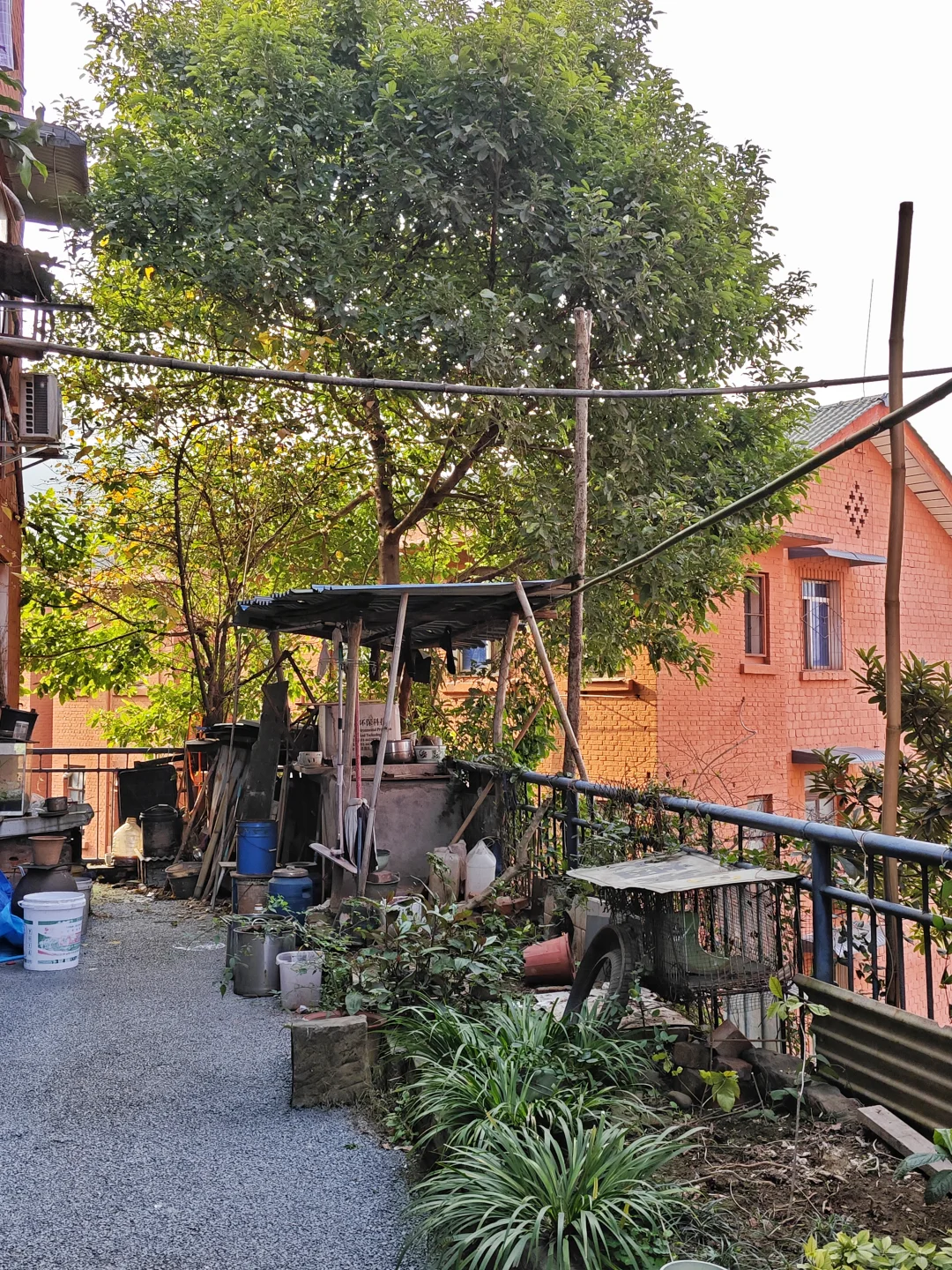 长征一村(citywalk399)