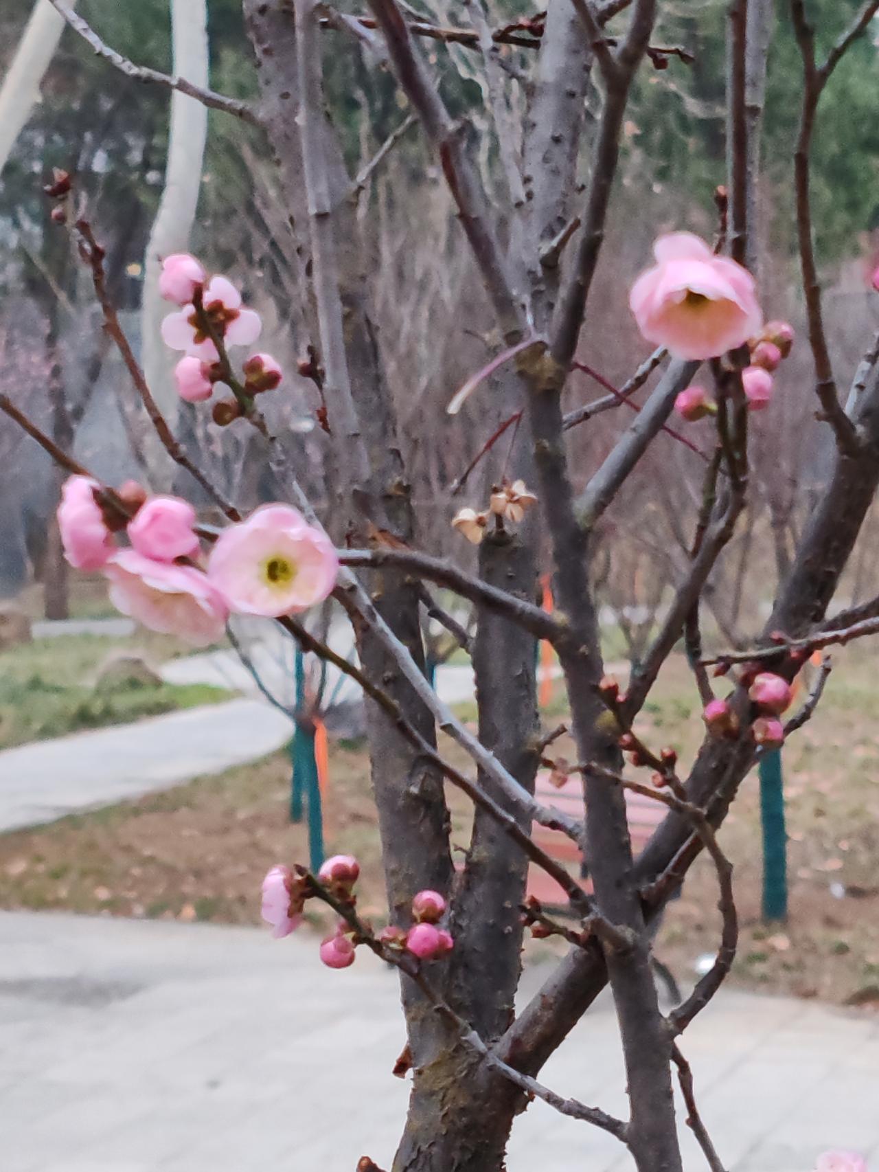 人是活过程的，而大多数人是活面子的。对于有能力赚钱的人而言，让自己的生活过得好一