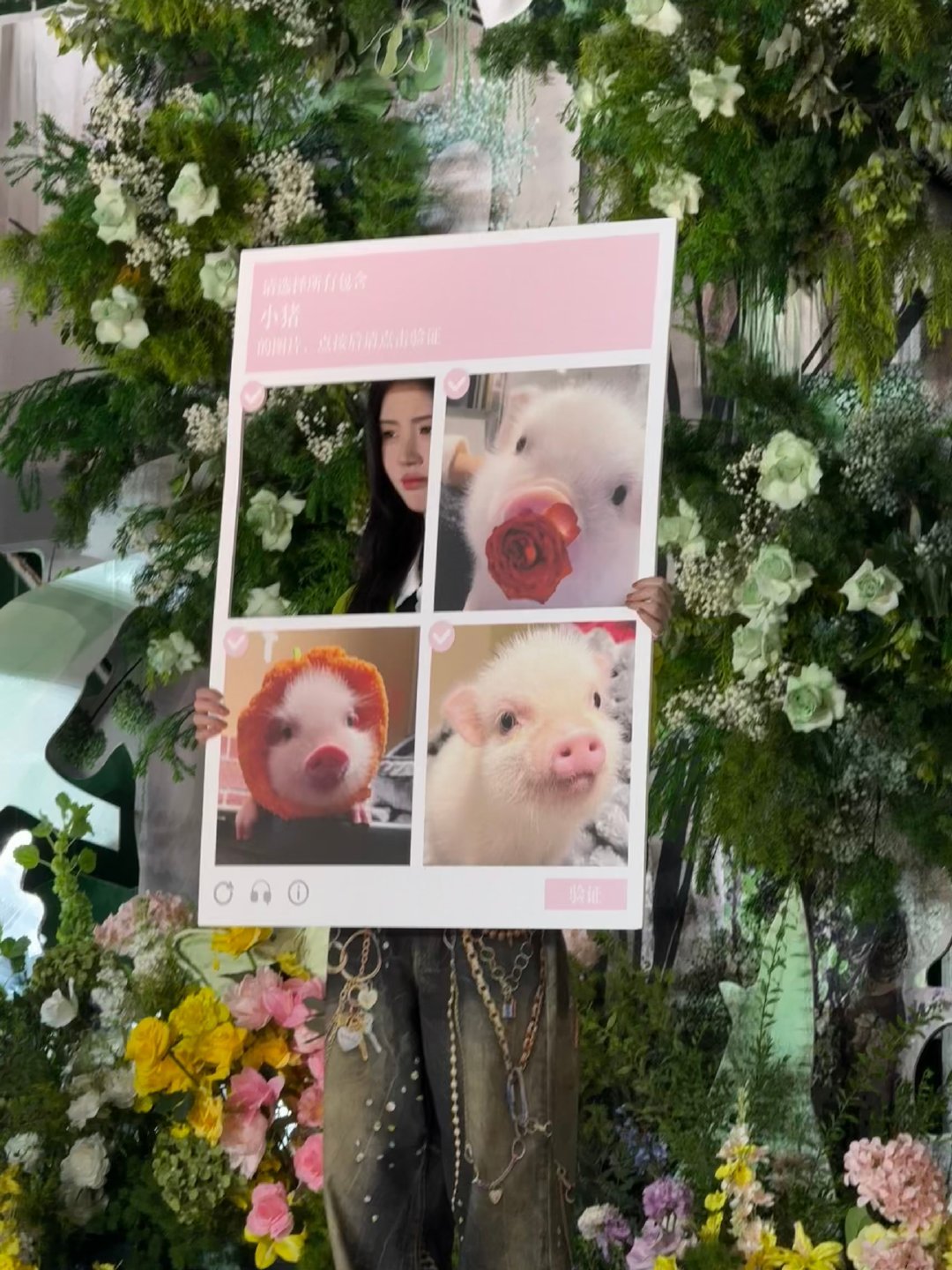鞠婧祎被猪塑了 🐷猪塑一统天下，千秋万代 