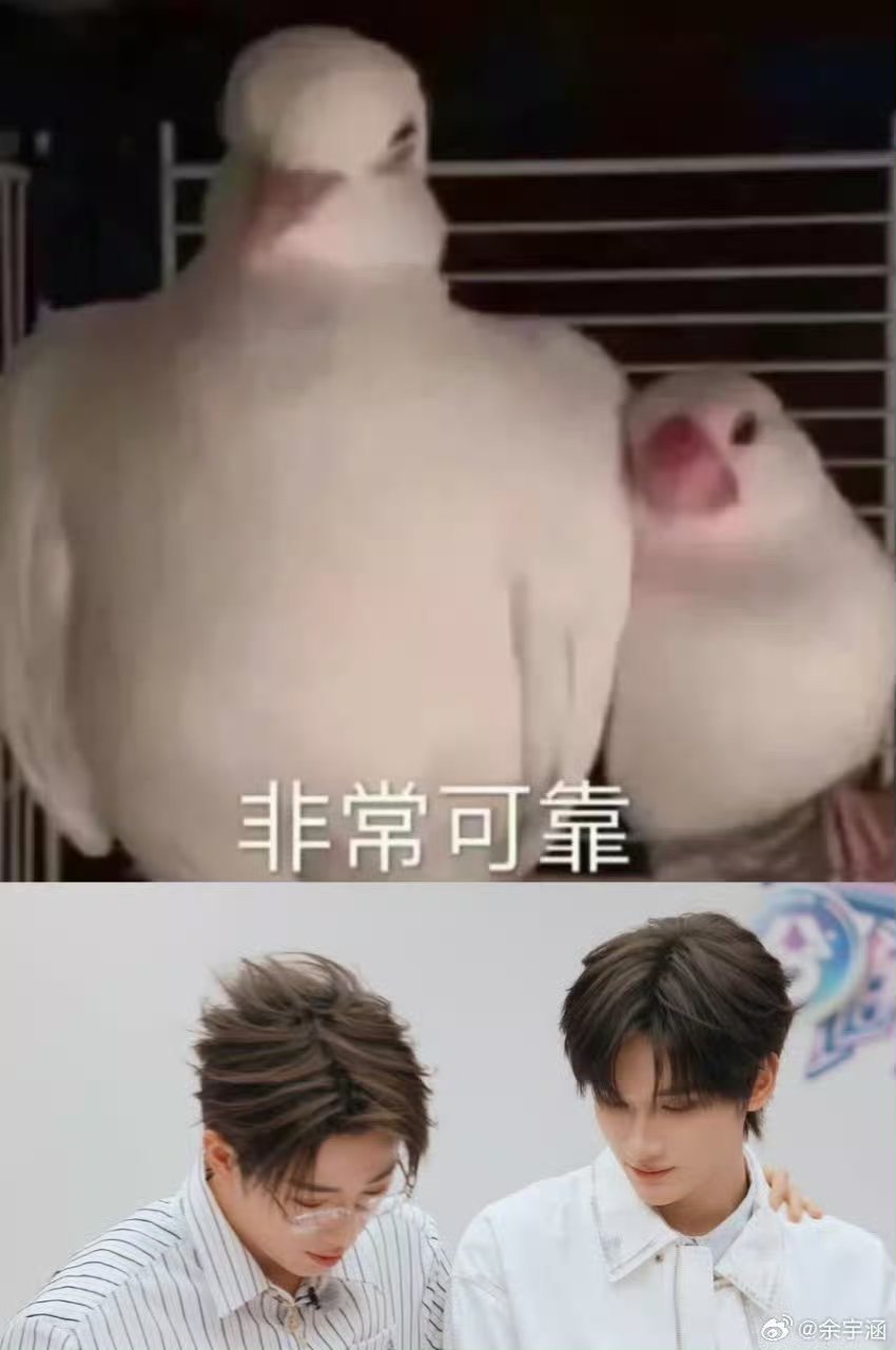 余宇涵在鱼丝姐这儿学点梗全用出去了 