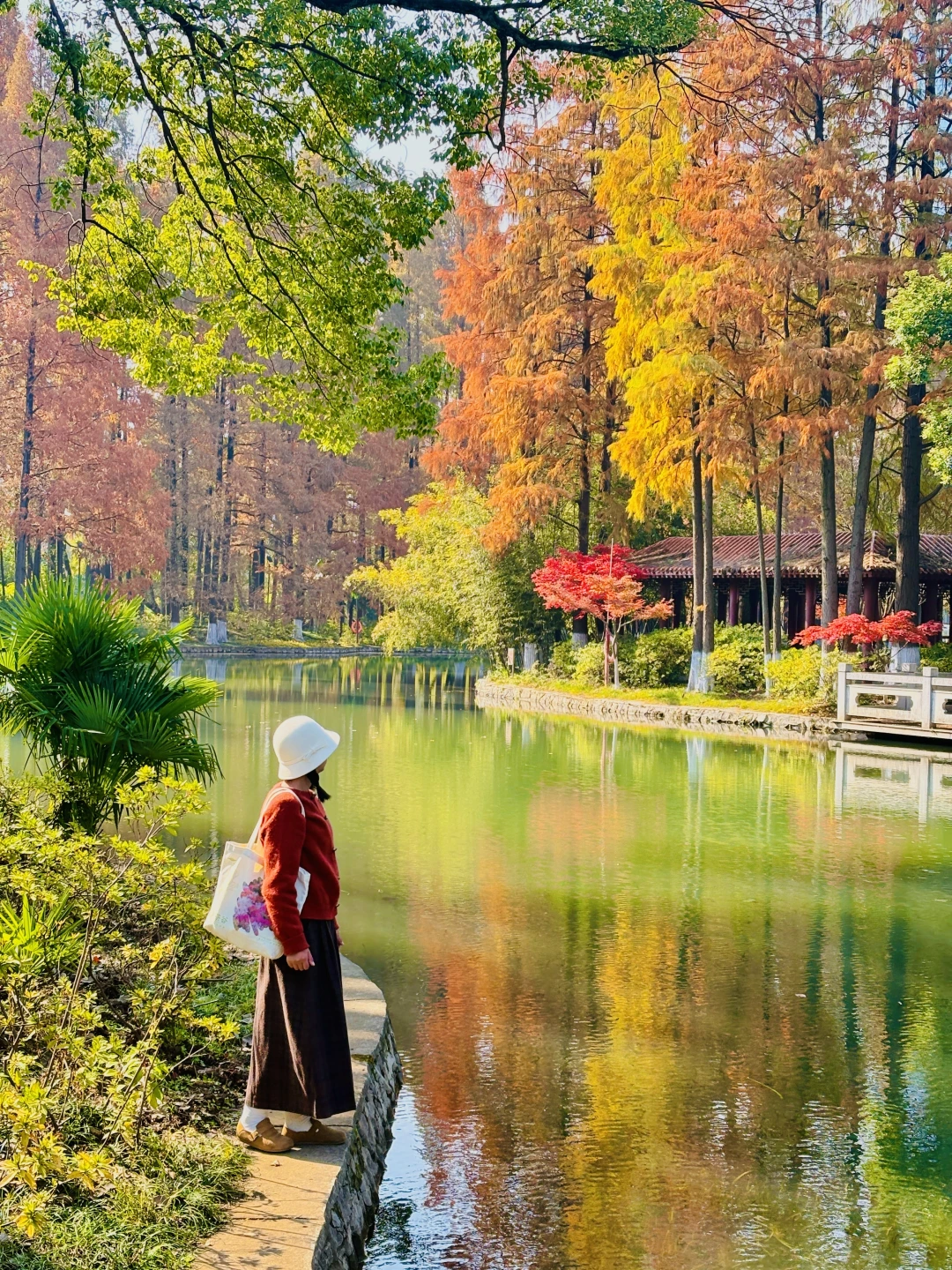 接下来的武汉青山公园❗️是封神级的浪漫