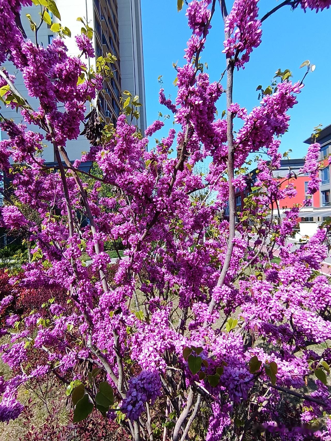 有人说现在这油加不起了，
加满一箱油，
一辆自行车没了，
一年的保险，
一辆电动