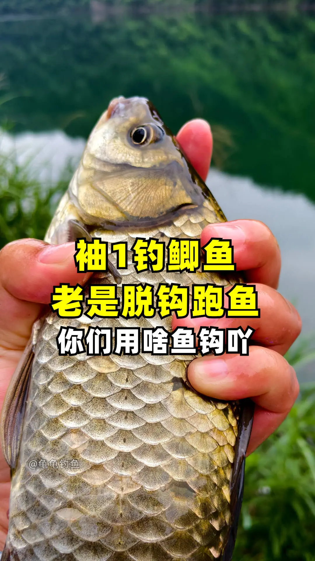 用袖钩 老是脱钩跑鱼！户外 用什么 好？我现在用5号伊势尼鱼钩，很少脱钩了。