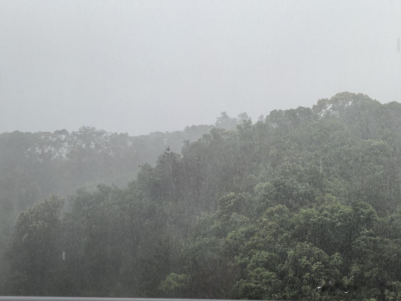 清明雨
风吹着雨丝像白雾一样，一层一层往前飘过去。
一会儿又斜斜的、急急的，从空