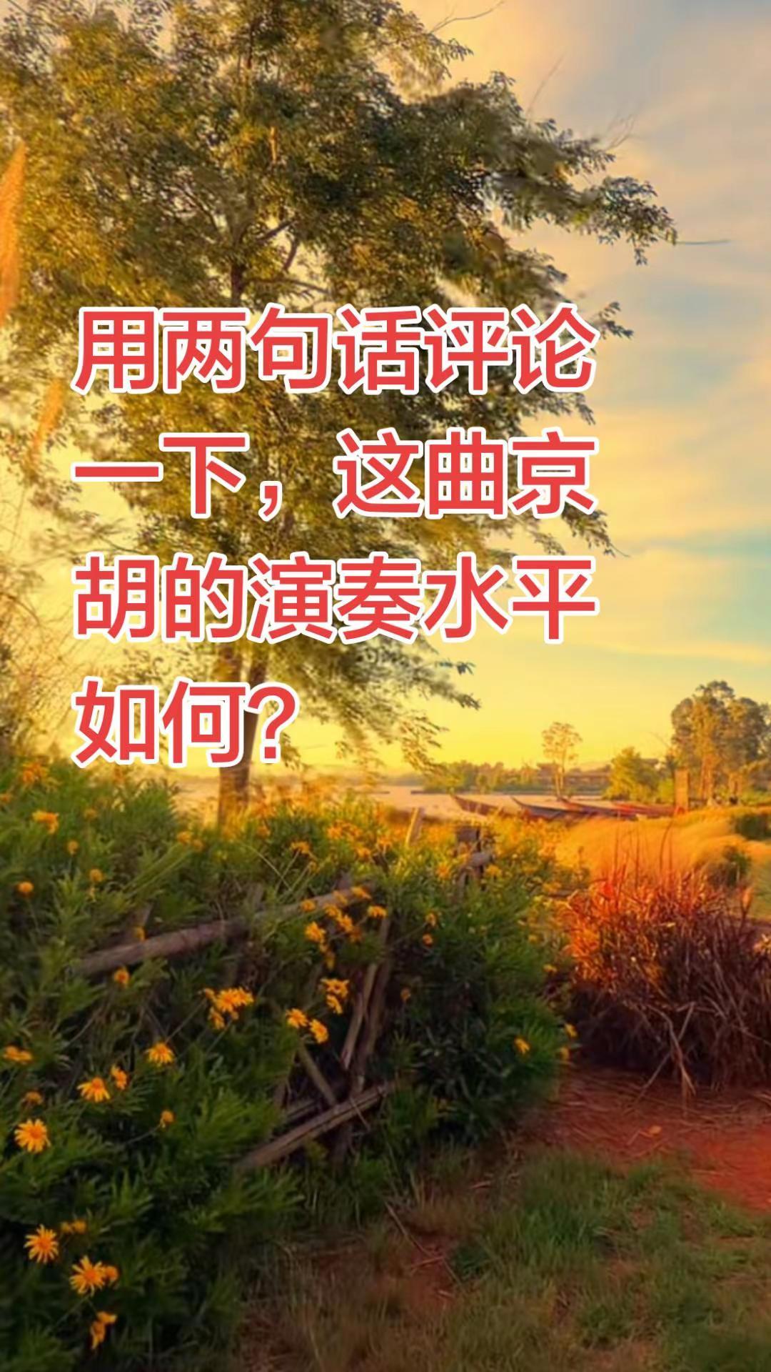 用两句话说一下，这段京胡拉的怎么样？曲牌 京剧京胡演奏 京剧