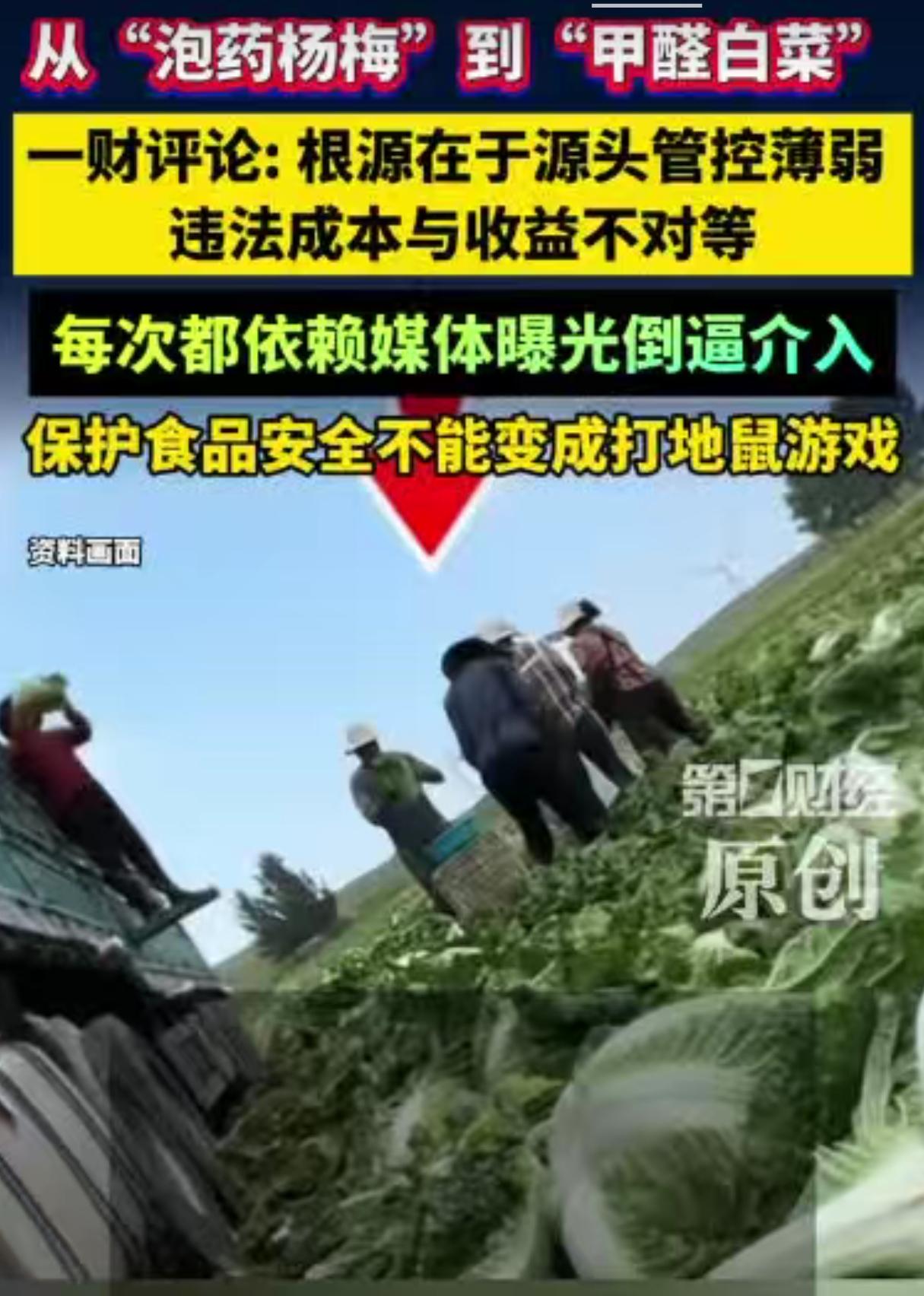 中国的食品安全问题为何总是解决不了？
原因很简单：惩罚力度太小了！
中国为何能成