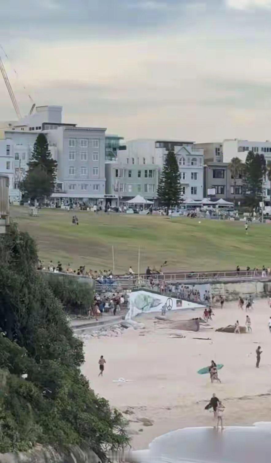 悉尼邦迪滩枪击事件10人死亡西方自由世界的天是蓝色，空气是香甜还经常弥漫火药的味