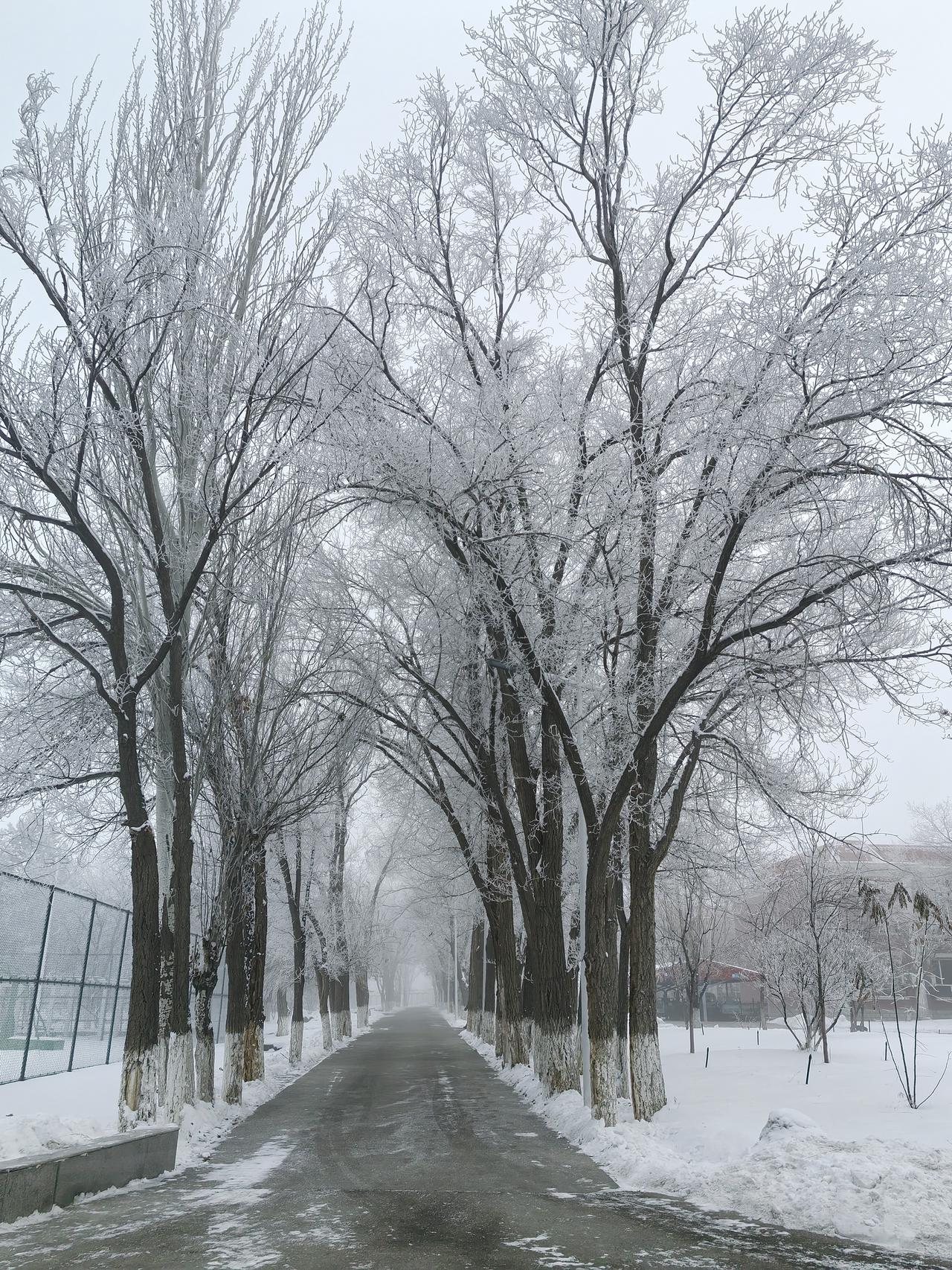 在这世间，有一种品质名为正直，有一种人称作义士。
        王守仁平定宁王
