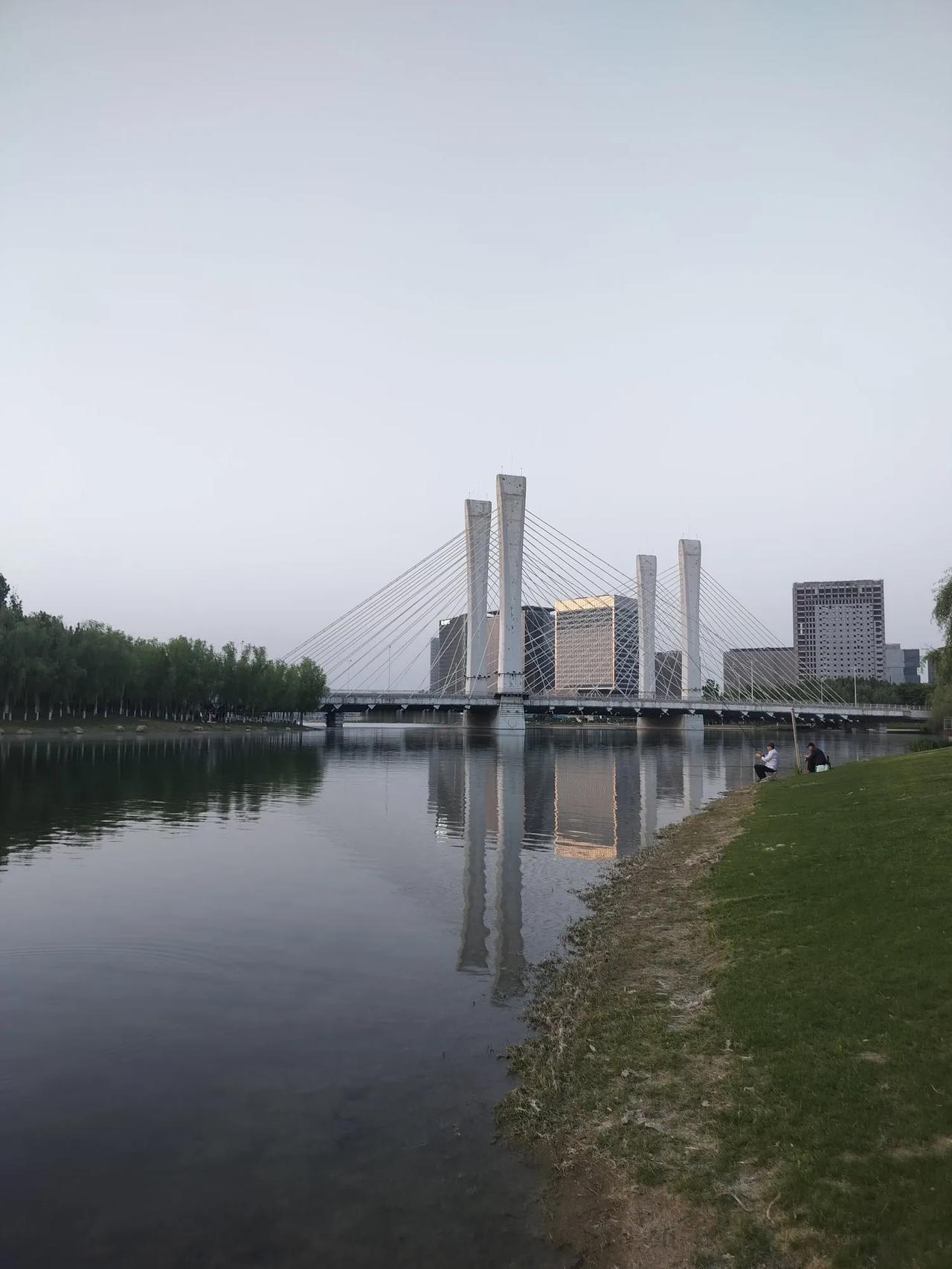 每日一图随手拍