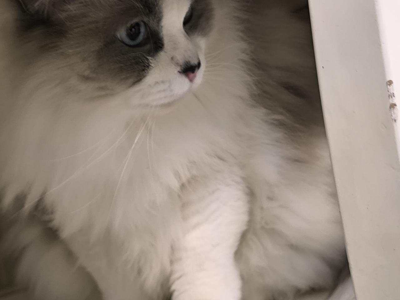 这个样子好“狰狞”，陪伴是最长情的告白!