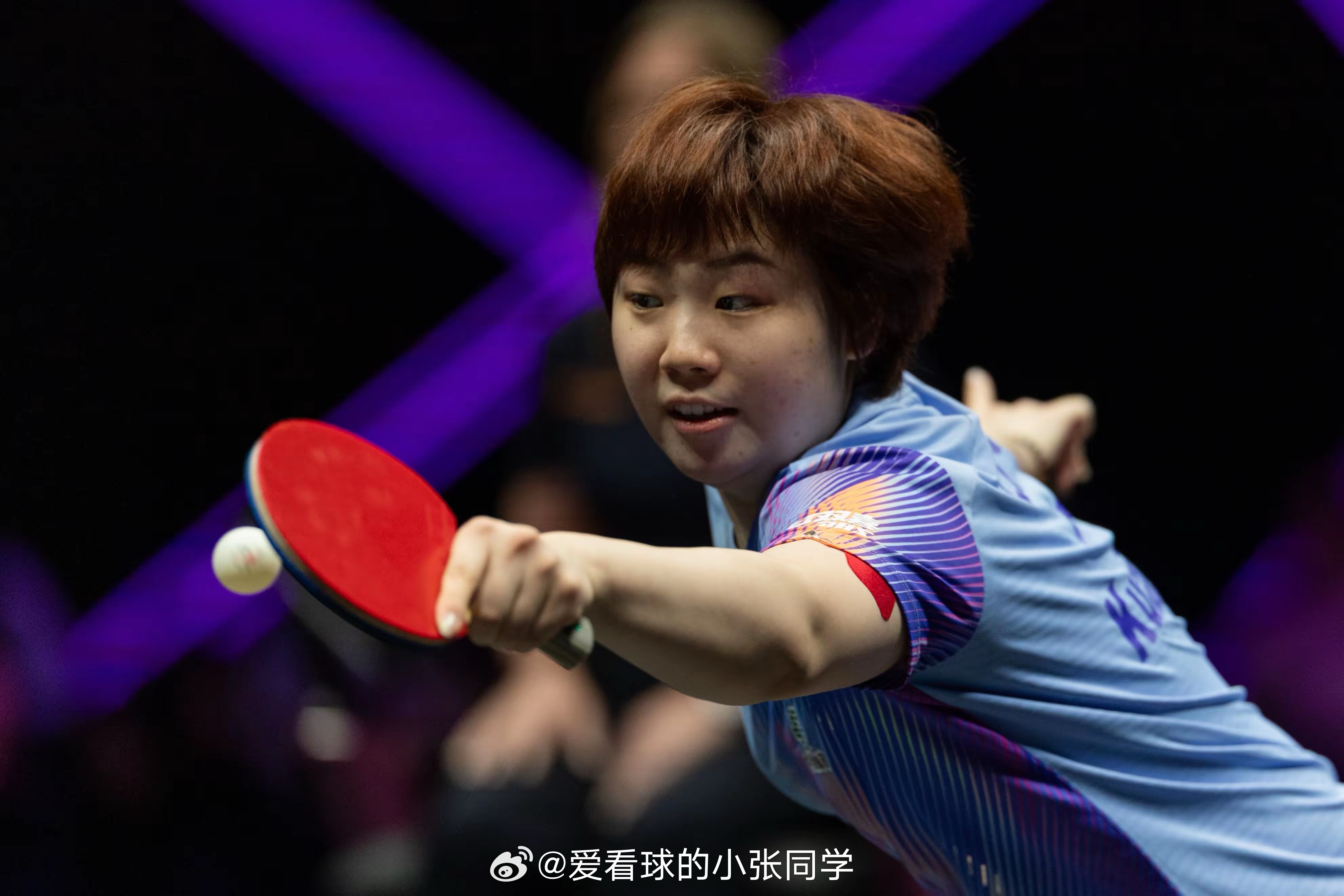 国乒女队伦敦世乒赛名单正式确定  孙颖莎领衔五朵金花剑指七连冠王艺迪4连胜张本美