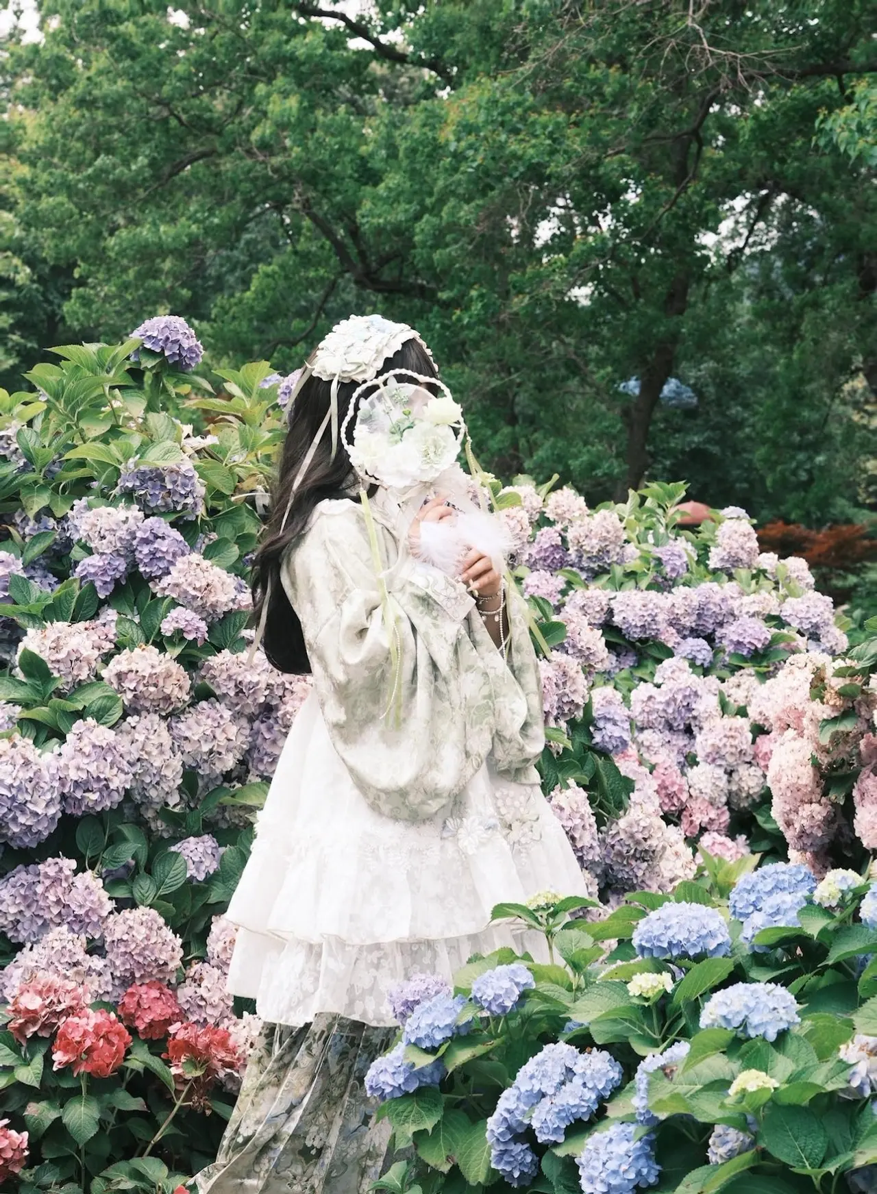 绣球花海 世界是巨大的莫奈花园 汉洋折衷小羊庄园