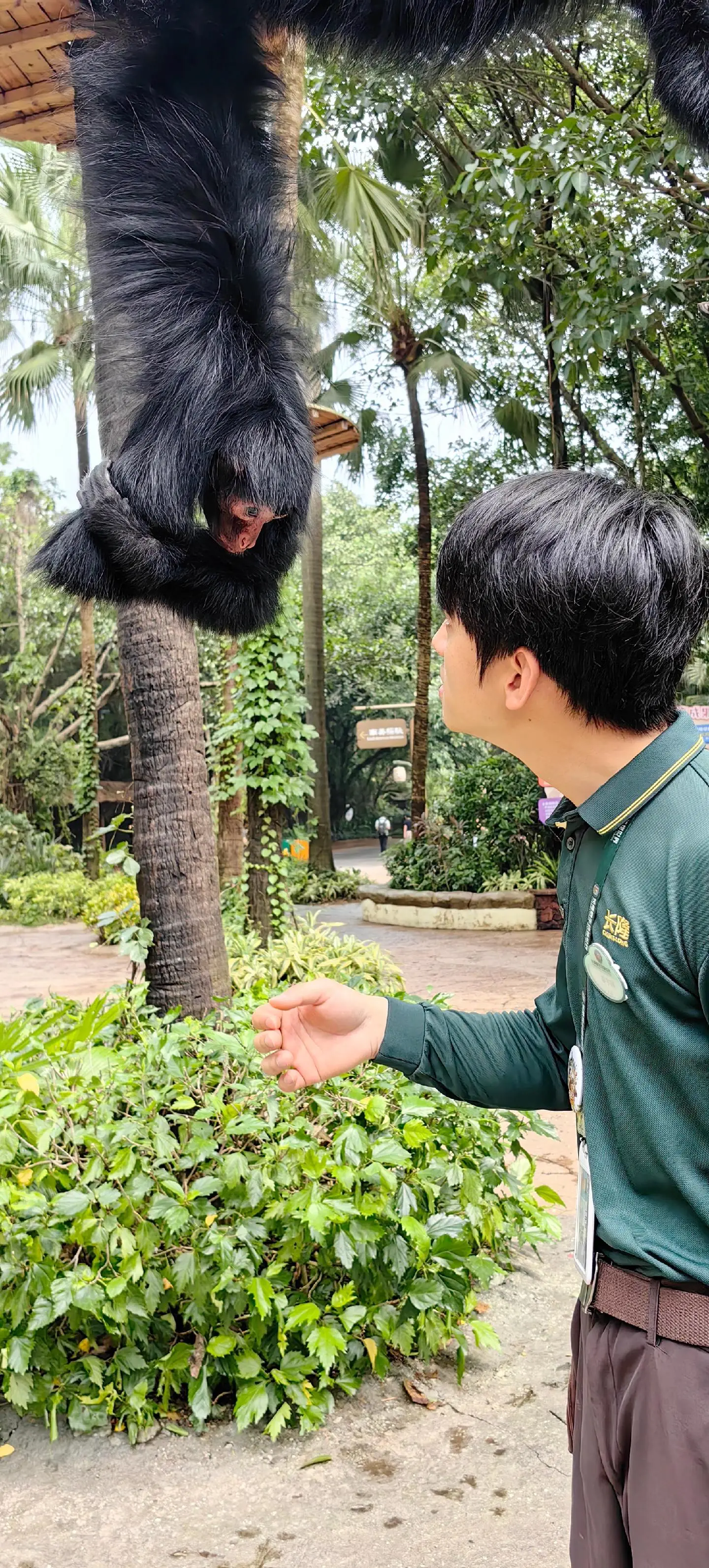 这表情😄