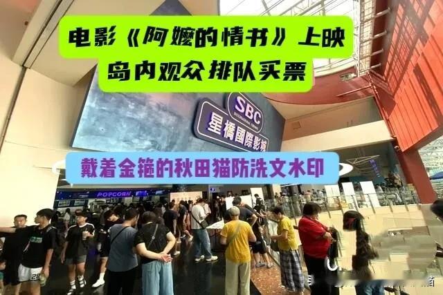 为何岛内观众齐声爆哭？
440人座无虚席排队半小时，《给阿嬷的情书》在台首映看哭