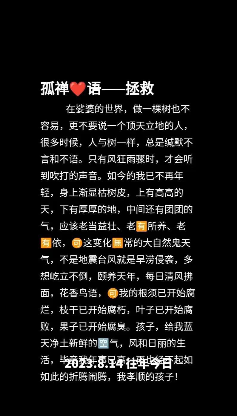 往年今日孤禅❤语拯救心情日记