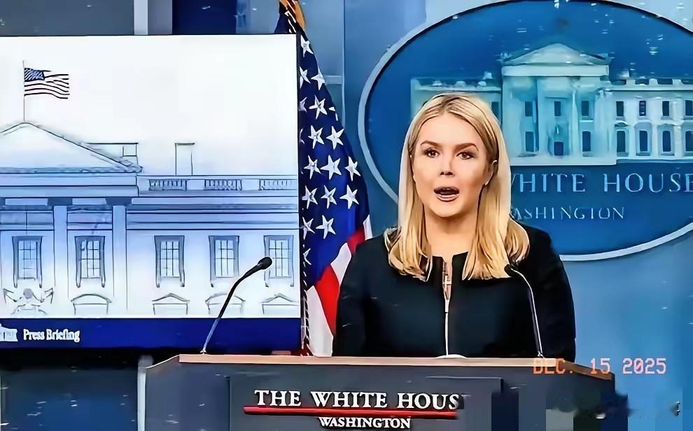 林剑那句“请美方以实际行动维护全球供应链稳定”，表面客气，实则抽掉了美国“特供芯