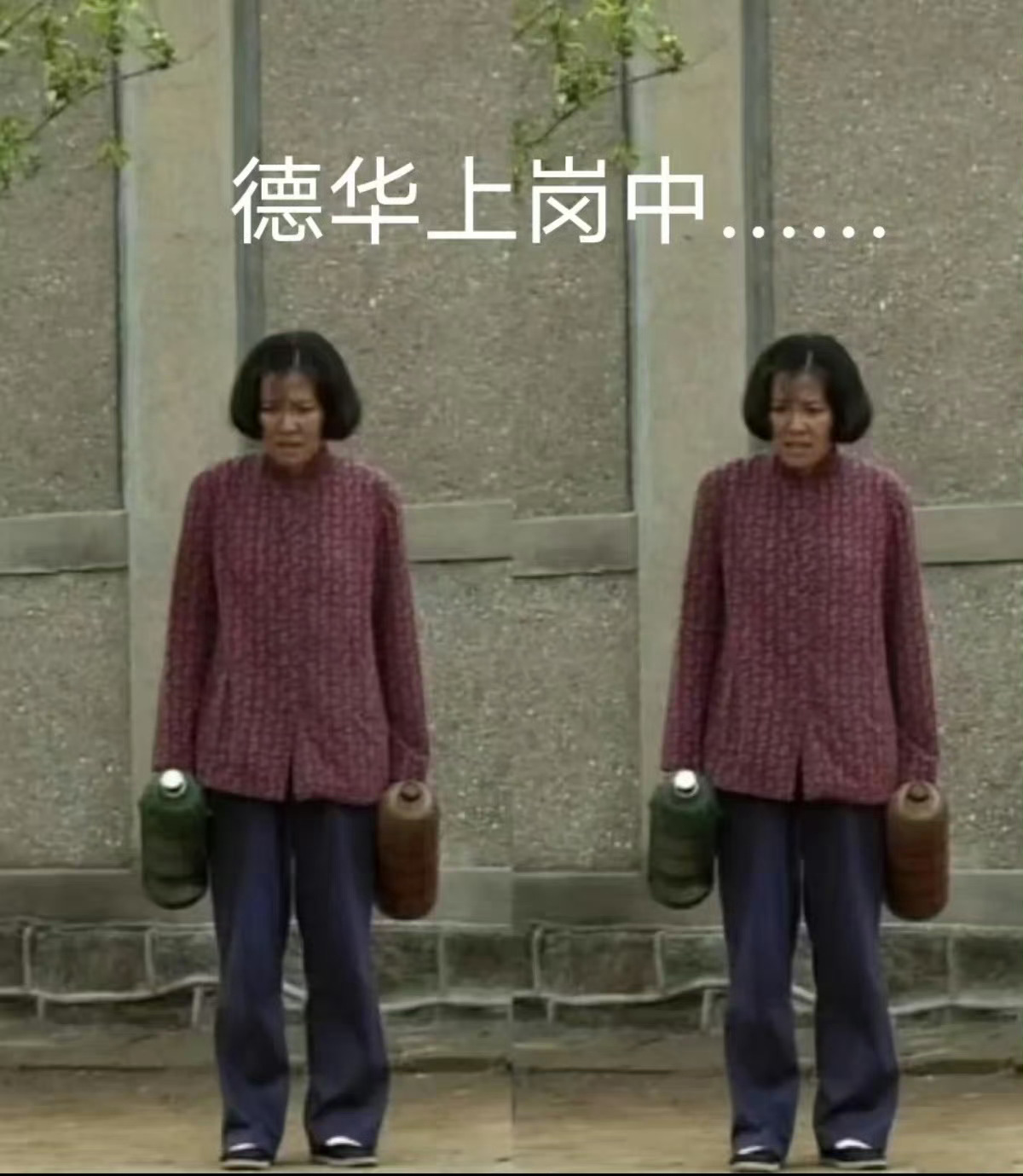 现在的德华已经不怕带娃了没出游的都在家哄娃，你也是其中一员吗？ ​ ​​​