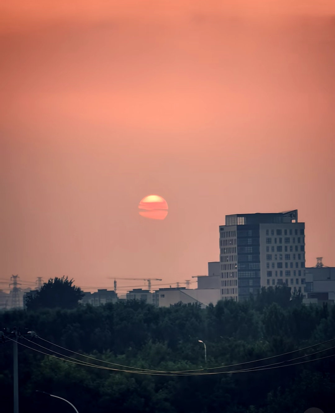 情人节快乐！嗯！单身狗快乐 